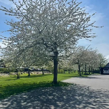 Ostseeliebe Garten, Terrasse Und Strandnaehe Wendtorf